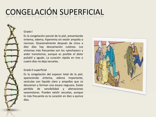 CONGELACIÓN SUPERFICIAL
GradoI
Es la congelación parcial de la piel, presentando
eritema, edema, hiperemia sin existir ampolla o
necrosis. Ocasionalmente después de cinco a
diez días hay descamación cutánea. Los
síntomas más frecuentes son los «pinchazos» y
ardor transitorios, aunque es posible el dolor
pulsátil y agudo. La curación rápida en tres o
cuatro días no deja secuelas.
Grado II superficial
Es la congelación del espesor total de la piel,
apareciendo eritema, edema importante,
vesículas con líquido claro y ampollas que se
descaman y forman una escara negruzca. Existe
pérdida de sensibilidad y alteraciones
vasomotoras. Pueden existir secuelas, aunque
lo más frecuente es la curación en diez a quince
días.
 