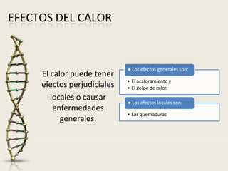 EFECTOS DEL CALOR
El calor puede tener
efectos perjudiciales
locales o causar
enfermedades
generales.
● Los efectos generales son:
• El acaloramiento y
• El golpe de calor.
● Los efectos locales son:
• Las quemaduras
 