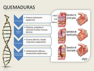 QUEMADURAS
Primer grado:
• Eritema (solamente
epidermis).
Segundo
grado:
• Flictenas, ampollas ó
vesículas (cuerpo mucoso,
dermis).
Tercer grado:
• Escaras (dermis y tejido
conjuntivo subyacente).
Cuarto, quinto
y sextogrado:
• Carbonización (afecta y
compromete tejido óseo).
 