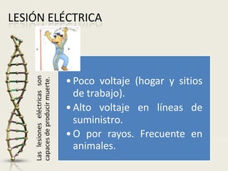 LESIÓN ELÉCTRICA
Las
lesiones
eléctricas
son
capaces
de
producir
muerte.
•Poco voltaje (hogar y sitios
de trabajo).
•Alto voltaje en líneas de
suministro.
•O por rayos. Frecuente en
animales.
 
