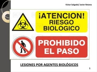 LESIONES POR AGENTES BIOLÓGICOS
Víctor Salgado/ Javier Retana
1
 