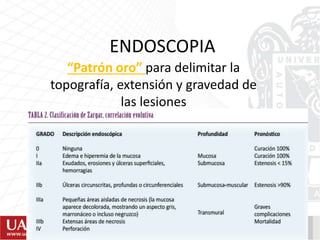 ENDOSCOPIA
“Patrón oro” para delimitar la
topografía, extensión y gravedad de
las lesiones
 