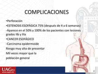•Perforación
•ESTENOSIS ESOFÁGICA 75% (después de 4 a 6 semanas)
-Aparece en el 50% y 100% de los pacientes con lesiones
grados IIb y IIIa
•CANCER ESOFÁGICO
-Carcinoma epidermoide
Riesgo muy alto de presentar
Mil veces mayor que la
población general
COMPLICACIONES
 