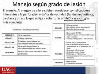 Manejo según grado de lesión
El manejo. Al margen de ello, se deben considerar complicaciones
inherentes a la perforación y daños de vecindad (lesión mediastínica,
cardiaca y otras), lo que obliga a coberturas antibióticas y cirugías
más complejas.
 