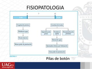 FISIOPATOLOGIA
Pilas de botón
 