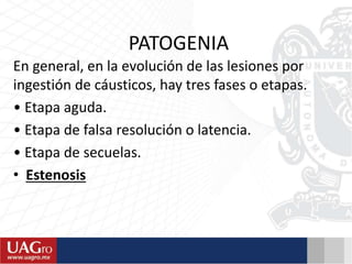 PATOGENIA
En general, en la evolución de las lesiones por
ingestión de cáusticos, hay tres fases o etapas.
• Etapa aguda.
• Etapa de falsa resolución o latencia.
• Etapa de secuelas.
• Estenosis
 