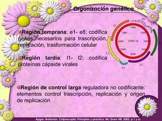Lesiones PreCancerosas de Cervix