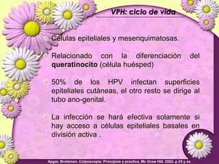 Lesiones PreCancerosas de Cervix