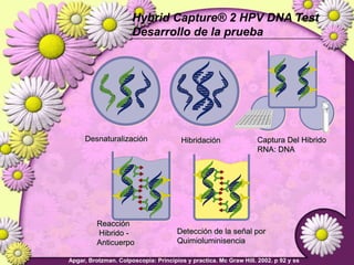 Lesiones PreCancerosas de Cervix