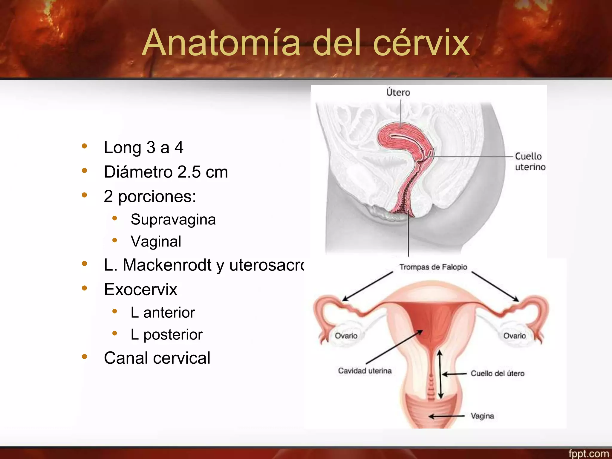 Lesiones preinvasoras del cervix | PPT
