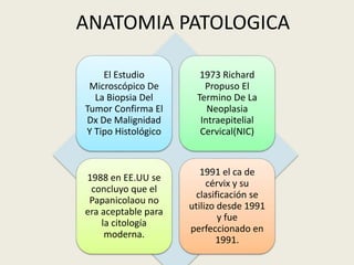 ANATOMIA PATOLOGICA
El Estudio
Microscópico De
La Biopsia Del
Tumor Confirma El
Dx De Malignidad
Y Tipo Histológico
1973 Richard
Propuso El
Termino De La
Neoplasia
Intraepitelial
Cervical(NIC)
1988 en EE.UU se
concluyo que el
Papanicolaou no
era aceptable para
la citología
moderna.
1991 el ca de
cérvix y su
clasificación se
utilizo desde 1991
y fue
perfeccionado en
1991.
 