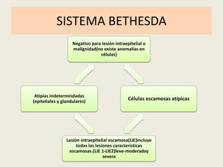 SISTEMA BETHESDA
Negativo para lesión intraepitelial o
malignidad(no existe anomalías en
células)
Células escamosas atípicas
Lesión intraepitelial escamosa(LIE)incluye
todas las lesiones características
escamosas.(LIE 1-LIE2)leve-moderaday
severa
Atipias indetermindadas
(epiteliales y glandulares)
 