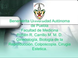 Benemérita Universidad Autónoma
de Puebla
Facultad de Medicina
Rubén R. Carrillo M. M. D.
Ginecología, Biología de la
Reproducción. Colposcopia. Cirugia
Estetica.
 