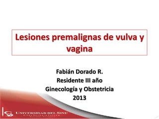 Lesiones premalignas de vulva y
            vagina

          Fabián Dorado R.
           Residente III año
       Ginecología y Obstetricia
                2013
 