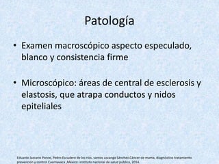 Patología
• Examen macroscópico aspecto especulado,
blanco y consistencia firme
• Microscópico: áreas de central de esclerosis y
elastosis, que atrapa conductos y nidos
epiteliales
Eduardo lazcano Ponce, Pedro Escudero de los ríos, santos uscanga Sánchez.Cáncer de mama, diagnóstico tratamiento
prevención y control Cuernavaca ,México: instituto nacional de salud pública, 2014.
 