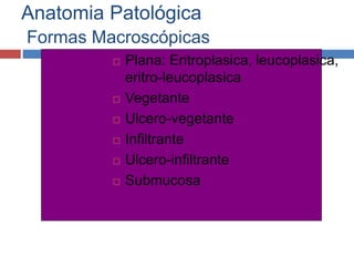 Anatomia Patológica
Formas Macroscópicas
 
