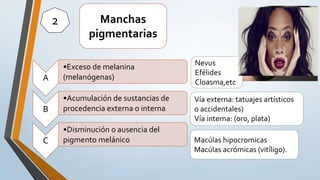 2 Manchas
pigmentarias
Vía externa: tatuajes artísticos
o accidentales)
Vía interna: (oro, plata)
Macúlas hipocromicas
Macúlas acrómicas (vitíligo).
Nevus
Efélides
Cloasma,etc
A
•Exceso de melanina
(melanógenas)
B
•Acumulación de sustancias de
procedencia externa o interna
C
•Disminución o ausencia del
pigmento melánico
 