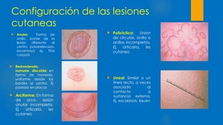 Lesiones Primarias y Secundarias de la Piel 803.pptx