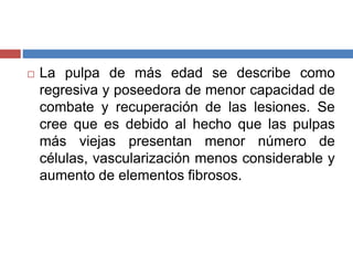  La pulpa de más edad se describe como
regresiva y poseedora de menor capacidad de
combate y recuperación de las lesiones. Se
cree que es debido al hecho que las pulpas
más viejas presentan menor número de
células, vascularización menos considerable y
aumento de elementos fibrosos.
 