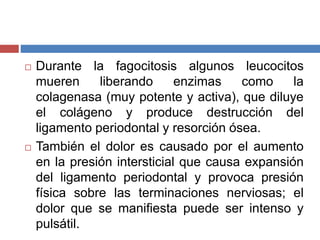  Durante la fagocitosis algunos leucocitos
mueren liberando enzimas como la
colagenasa (muy potente y activa), que diluye
el colágeno y produce destrucción del
ligamento periodontal y resorción ósea.
 También el dolor es causado por el aumento
en la presión intersticial que causa expansión
del ligamento periodontal y provoca presión
física sobre las terminaciones nerviosas; el
dolor que se manifiesta puede ser intenso y
pulsátil.
 