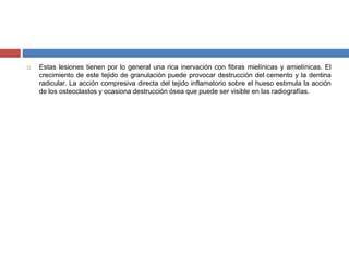  Estas lesiones tienen por lo general una rica inervación con fibras mielínicas y amielínicas. El
crecimiento de este tejido de granulación puede provocar destrucción del cemento y la dentina
radicular. La acción compresiva directa del tejido inflamatorio sobre el hueso estimula la acción
de los osteoclastos y ocasiona destrucción ósea que puede ser visible en las radiografías.
 