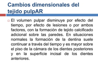 Cambios dimensionales del
tejido pulpAR
 El volumen pulpar disminuye por efecto del
tiempo, por efecto de lesiones o por ambos
factores, con la formación de tejido calcificado
adicional sobre las paredes. En situaciones
normales la formación de la dentina suele
continuar a través del tiempo y es mayor sobre
el piso de la cámara de los dientes posteriores
y en la superficie incisal de los dientes
anteriores.
 