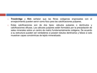  Trowbridge y Kim señalan que las fibras colágenas engrosadas con el
envejecimiento pueden servir como foco para las calcificaciones pulpares.
 Estas calcificaciones son de dos tipos: cálculos pulpares o dentículos y
calcificaciones difusas. Los cálculos pulpares están formados por la precipitación de
sales minerales sobre un centro de matriz fundamentalmente colágena. De acuerdo
a su estructura pueden ser verdaderos si poseen túbulos dentinarios y falsos si solo
muestran capas concéntricas de tejido mineralizado.
 