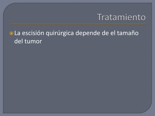 La escisión quirúrgica depende de el tamaño
del tumor
 