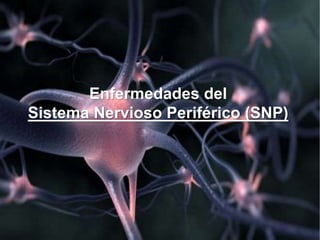 Enfermedades del
Sistema Nervioso Periférico (SNP)
 