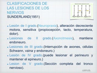 CLASIFICACIONES DE
LAS LESIONES DE LOS
NERVIOS
SUNDERLAND(1951)
Lesión de I grado.(Neuropraxia), alteración decreciente
motora, sensitiva (propiocepción, tacto, temperatura,
dolor).
Lesiones de II grado.(Axonotmesis), mantiene
endoneuro.
Lesiones de III grado.(Interrupción de axones, células
Schwann, vaina y endoneuro.)
Lesión de IV grado.(puede lesionar el perineuro y
mantener el epineuro.)
Lesion de V grado.(Sección completa del tronco
nervioso). Dr. Vejarano A., Willy
Ortopedista y Traumatologo
 