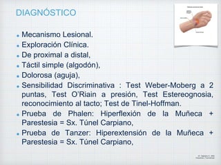 DIAGNÓSTICO
Mecanismo Lesional.
Exploración Clínica.
De proximal a distal,
Táctil simple (algodón),
Dolorosa (aguja),
Sensibilidad Discriminativa : Test Weber-Moberg a 2
puntas, Test O’Riain a presión, Test Estereognosia,
reconocimiento al tacto; Test de Tinel-Hoffman.
Prueba de Phalen: Hiperflexión de la Muñeca +
Parestesia = Sx. Túnel Carpiano,
Prueba de Tanzer: Hiperextensión de la Muñeca +
Parestesia = Sx. Túnel Carpiano,
Dr. Vejarano A., Willy
Ortopedista y Traumatologo
 