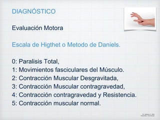 DIAGNÓSTICO
Evaluación Motora
Escala de Higthet o Metodo de Daniels.
0: Paralisis Total,
1: Movimientos fasciculares del Músculo.
2: Contracción Muscular Desgravitada,
3: Contracción Muscular contragravedad,
4: Contracción contragravedad y Resistencia.
5: Contracción muscular normal.
Dr. Vejarano A., Willy
Ortopedista y Traumatologo
 