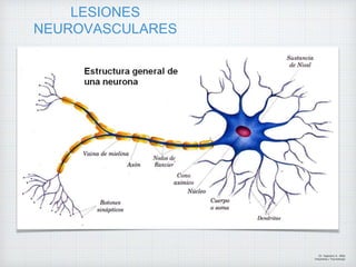 LESIONES
NEUROVASCULARES
Dr. Vejarano A., Willy
Ortopedista y Traumatologo
 