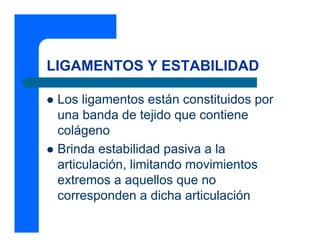 LIGAMENTOS Y ESTABILIDAD
z Los ligamentos están constituidos por
una banda de tejido que contiene
colágeno
z Brinda estabilidad pasiva a la
articulación, limitando movimientos
extremos a aquellos que no
corresponden a dicha articulación
 