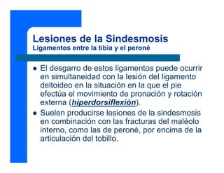 Lesiones de la Sindesmosis
Ligamentos entre la tibia y el peroné
z El desgarro de estos ligamentos puede ocurrir
en simultaneidad con la lesión del ligamento
deltoideo en la situación en la que el pie
efectúa el movimiento de pronación y rotación
externa (hiperdorsiflexión).
z Suelen producirse lesiones de la sindesmosis
en combinación con las fracturas del maléolo
interno, como las de peroné, por encima de la
articulación del tobillo.
 