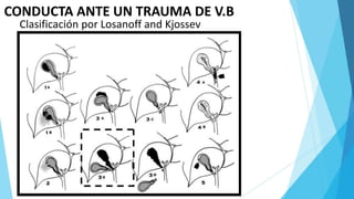 CONDUCTA ANTE UN TRAUMA DE V.B
Clasificación por Losanoff and Kjossev
 