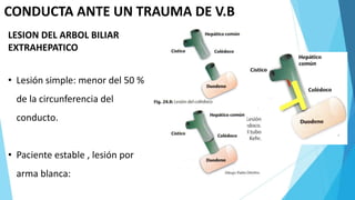 CONDUCTA ANTE UN TRAUMA DE V.B
LESION DEL ARBOL BILIAR
EXTRAHEPATICO
• Lesión simple: menor del 50 %
de la circunferencia del
conducto.
• Paciente estable , lesión por
arma blanca:
 