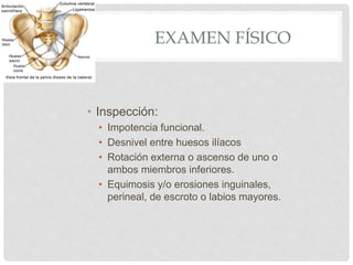 EXAMEN FÍSICO
• Inspección:
• Impotencia funcional.
• Desnivel entre huesos ilíacos
• Rotación externa o ascenso de uno o
ambos miembros inferiores.
• Equimosis y/o erosiones inguinales,
perineal, de escroto o labios mayores.
 