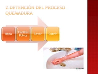 Cepillar
Ropa              Lavar   Cubrir
        Polvos
 