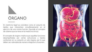 ÓRGANO
En medicina legal se considera como el conjunto de
tejidos que interactúan simultáneamente en el
ejercicio de una misma función. Equivale al concepto
de sistema que se tiene en la medicina clínica.
El concepto de órgano implica que aquellas funciones
desempeñadas por varias estructuras y tejidos
conforman en su conjunto un solo órgano, por lo que
deben ser valoradas de manera integral en el examen.
 