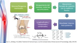 lesiones meniscales y de ligamentos cruzados. | PPTX