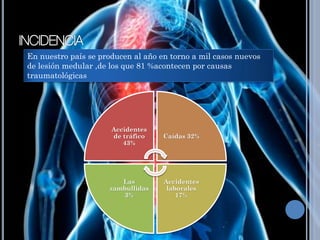 En nuestro país se producen al año en torno a mil casos nuevos
de lesión medular ,de los que 81 %acontecen por causas
traumatológicas
Accidentes
de tráfico
43%
Caídas 32%
Accidentes
laborales
17%
Las
zambullidas
3%
 