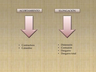 ACORTAMIENTO    ELONGACIÓN




• Contractura   •   Distensión
• Calambre      •   Contusión
                •   Desgarro
                •   Desgarro total
 