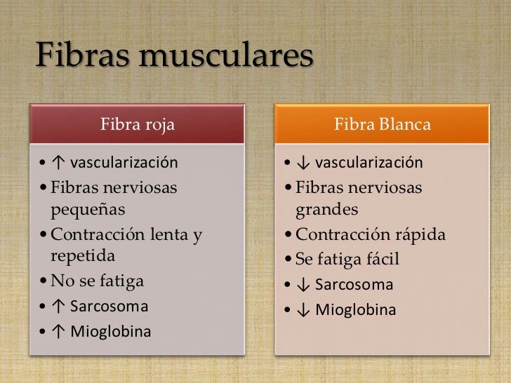 Lesion muscular Lesion muscular