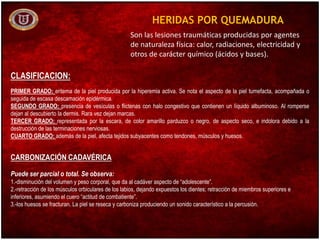 CLASIFICACION:
PRIMER GRADO: eritema de la piel producida por la hiperemia activa. Se nota el aspecto de la piel tumefacta, acompañada o
seguida de escasa descamación epidérmica.
SEGUNDO GRADO: presencia de vesículas o flictenas con halo congestivo que contienen un líquido albuminoso. Al romperse
dejan al descubierto la dermis. Rara vez dejan marcas.
TERCER GRADO: representada por la escara, de color amarillo parduzco o negro, de aspecto seco, e indolora debido a la
destrucción de las terminaciones nerviosas.
CUARTO GRADO: además de la piel, afecta tejidos subyacentes como tendones, músculos y huesos.
CARBONIZACIÓN CADAVÉRICA
Puede ser parcial o total. Se observa:
1.-disminución del volumen y peso corporal, que da al cadáver aspecto de “adolescente”.
2.-retracción de los músculos orbiculares de los labios, dejando expuestos los dientes; retracción de miembros superiores e
inferiores, asumiendo el cuero “actitud de combatiente”.
3.-los huesos se fracturan. La piel se reseca y carboniza produciendo un sonido característico a la percusión.
HERIDAS POR QUEMADURA
Son las lesiones traumáticas producidas por agentes
de naturaleza física: calor, radiaciones, electricidad y
otros de carácter químico (ácidos y bases).
 