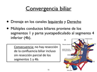Convergencia biliar 
• Drenaje en los canales Izquierdo y Derecho 
• Múltiples conductos biliares proviene de los 
segmentos 1 y parte yuxtapediculado al segmento 4 
inferior (4b). 
Consecuencia: 
no 
hay 
resección 
de 
la 
confluencia 
biliar 
incluso 
sin 
resección 
parcial 
de 
los 
segmentos 
1 
y 
4b. 
15 
 