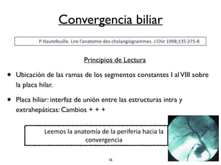 Convergencia biliar 
P 
Hautefeuille. 
Lire 
l’anatomie 
des 
cholangiogrammes. 
J 
Chir 
1998;135:275-­‐8 
Principios de Lectura 
• Ubicación de las ramas de los segmentos constantes I al VIII sobre 
la placa hilar. 
• Placa hiliar: interfaz de unión entre las estructuras intra y 
extrahepáticas: Cambios + + + 
Leemos 
la 
anatomía 
de 
la 
periferia 
hacia 
la 
convergencia 
16 
 