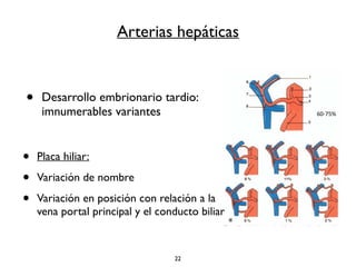 Arterias hepáticas 
• Desarrollo embrionario tardio: 
imnumerables variantes 
• Placa hiliar: 
• Variación de nombre 
• Variación en posición con relación a la 
vena portal principal y el conducto biliar 
22 
60-­‐75% 
 