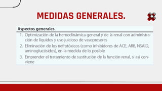 Lesion Renal Aguda Medicina Interna gua AKIN | PDF