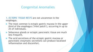 Comprehensive Overview of Esophageal Lesions and Disorders | PDF